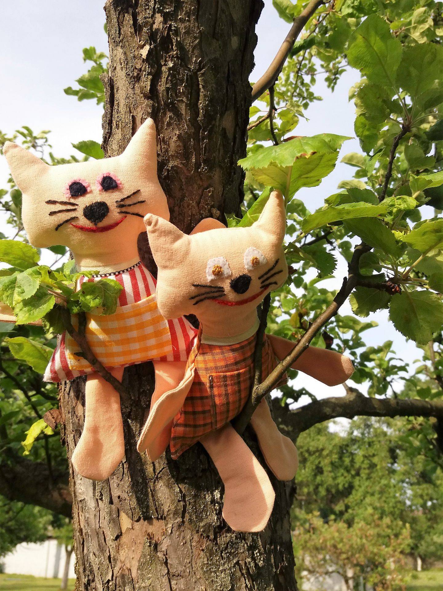 Kočičí tandem